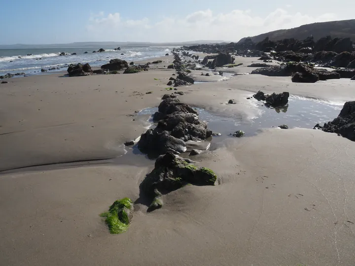 Le Gris-Nez, Cap Gris-Nez (Frankrijk)